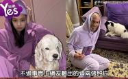 雷速体育比分直播-赞比亚球员因家庭原因暂时离队，引发猜测的简单介绍