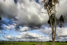 雷速体育电脑版官网-英格兰羽毛球队完胜印尼羽毛球队,安赛龙完成帽子戏法