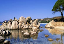 雷速体育app-韩国乒乓球队绝地反击瑞典，张本智和逆境重生的传奇时刻