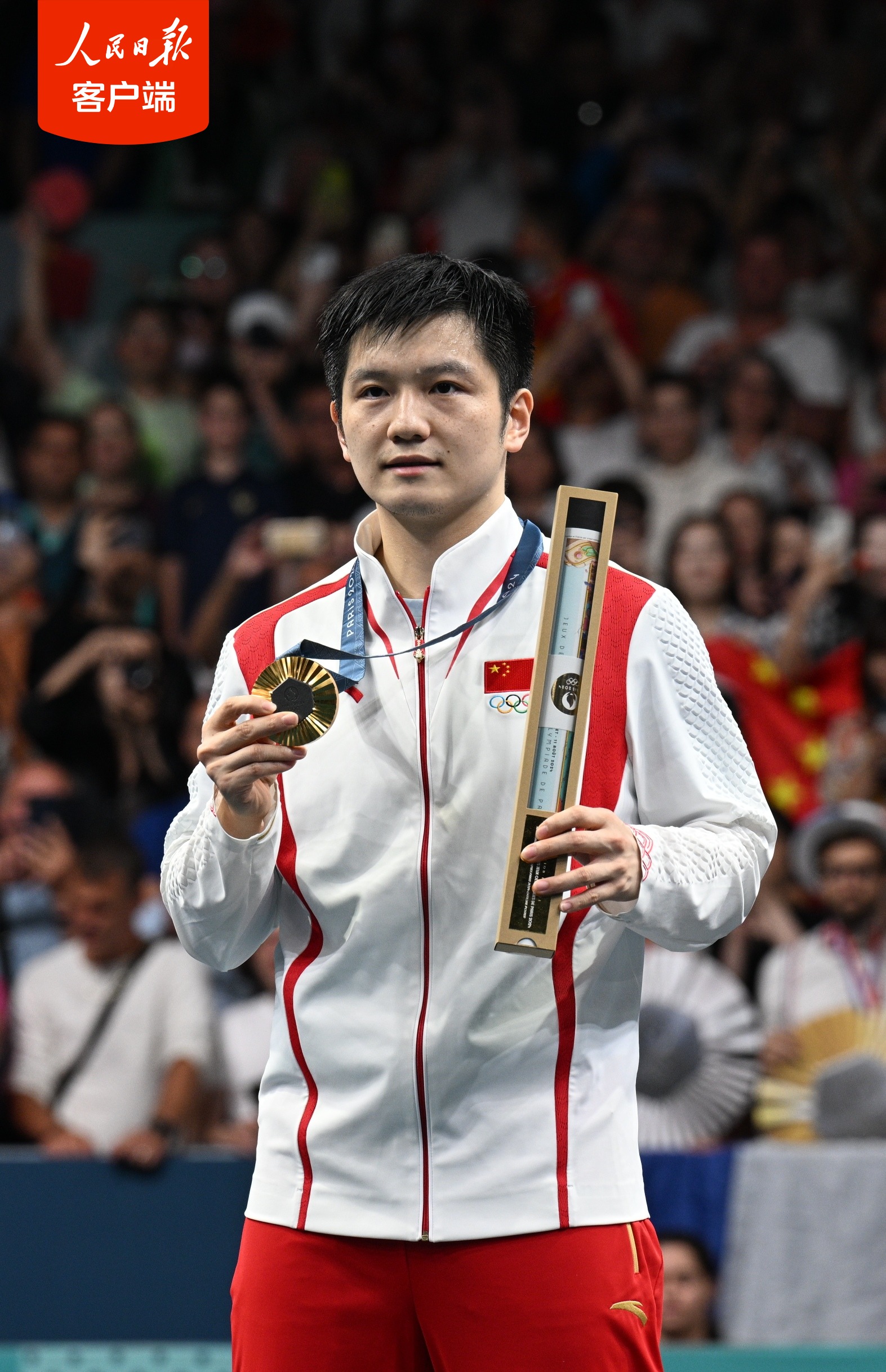 法国乒乓球队绝杀奥地利乒乓球队，樊振东高光表现的简单介绍